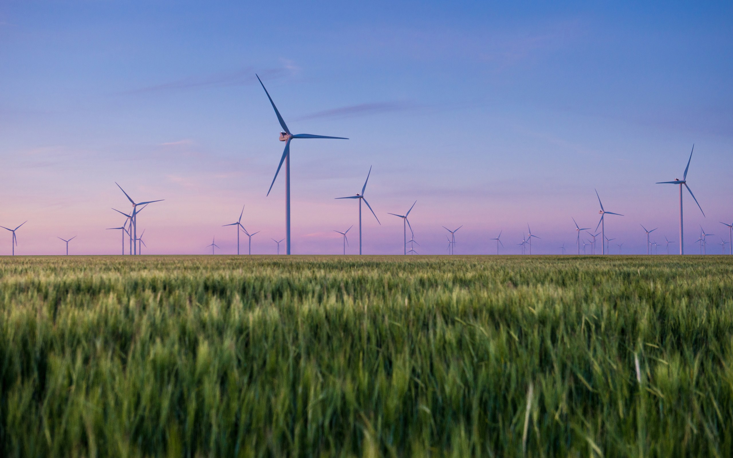 Wind turbine farm at dusk with multiple turbines across green fields